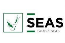 Grupo SEAS